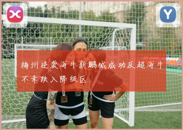 梅州逆袭海牛新鹏城成功反超海牛不幸跌入降级区