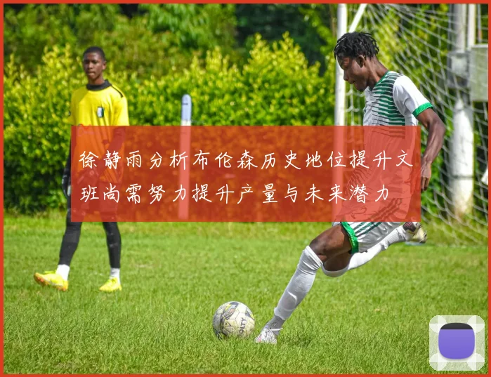 徐静雨分析布伦森历史地位提升文班尚需努力提升产量与未来潜力
